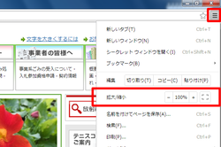 screen_shot_chrome.bmp