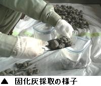 試料採取の様子