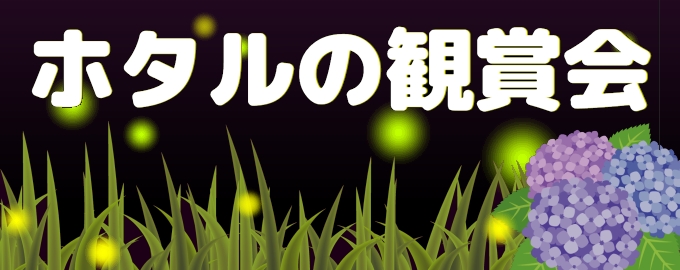 hotaru
